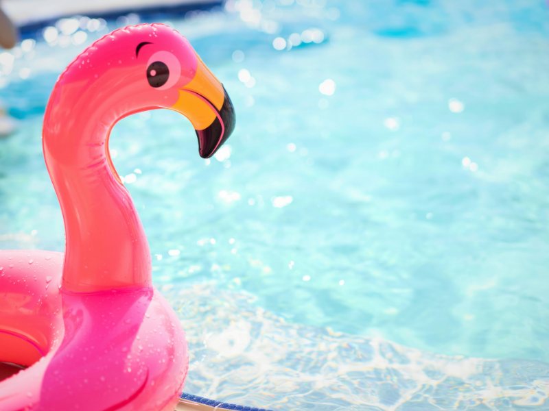 Inflatable flamingo pool float at the edge of a sunlit pool